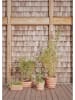 OYOY living design Blumentopf "Awa" in Hellbraun - (B)54 x (H)21 x (T)30 cm