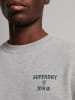 Superdry Sweatshirt lichtgrijs