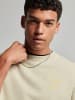 Superdry Sweatshirt in Creme