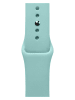 BERRIEPIE Wechselarmband für Apple Watch 42/ 44/ 45/ 49 mm in Hellblau