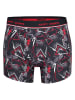 Happy Shorts 2er-Set: Boxershorts in Grau