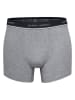 Happy Shorts 2er-Set: Boxershorts in Grau