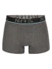 Phil & Co. Berlin 2er-Set: Boxershorts in Grün/ Grau