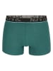 Phil & Co. Berlin 2er-Set: Boxershorts in Grün/ Grau