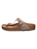 Birkenstock Zehentrenner "Gizeh" in Taupe - Weite N