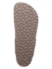 Birkenstock Zehentrenner "Gizeh" in Taupe - Weite N