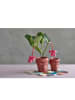 Villa Collection Übertopf "Calbe" in Rot - (H)19 cm x Ø 19 cm