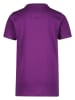 Vingino Shirt "Josh" paars