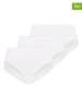 Teyli 3er-Set: Taillenslips in Weiß
