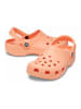 Crocs Crocs oranje