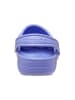 Crocs Chodaki w kolorze fioletowym