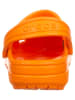 Crocs Chodaki w kolorze pomarańczowym