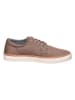 GANT Footwear Sneakers taupe