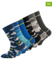ewers 6er-Set: Socken "Hai/ Ringel/ Uni" in Blau/ Grau/ Schwarz