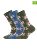 ewers 3-delige set: sokken "Bloemen" groen/blauw