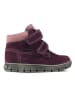 Richter Shoes Boots in Lila