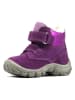 Richter Shoes Boots in Lila
