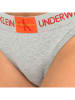 CALVIN KLEIN UNDERWEAR Slip in Grau