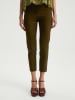 BGN Hose in Khaki