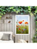 Orangewallz Leinwanddruck "Poppy Summer Field" - (B)50 x (H)70 cm