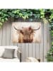 Orangewallz Outdoor-Leinwanddruck "Cow and Flowers"