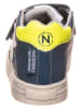 Naturino Leder-Sneakers "Hess" in Dunkelblau