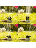 InnovaGoods Tuinsproeier antraciet - (H)10 x Ø 8 cm