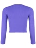 Blue Effect Longsleeve paars