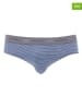 COTONELLA 2er-Set: Slips in Blau/ Grau