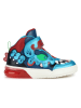 Geox Sneakers "Grayjay" in Blau/ Rot