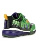 Geox Sneakers "Bayonyc" donkerblauw/groen