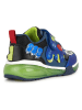 Geox Sneakers "Bayonyc" in Blau/ Grün
