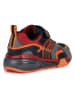 Geox Sneakers "Bayonyc" in Schwarz/ Orange
