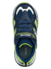 Geox Sneakers "Bayonyc" donkerblauw/groen