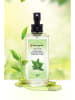 Pierre Cardin Green Tea - EDC - 100 ml