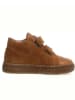 Naturino Leren sneakers "Albus Star" lichtbruin