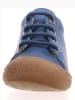 Naturino Leren loopleerschoenen "Cocoon" blauw