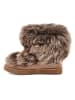 UGG Lammfell-Boots "Posh Mini Fur" in Hellbraun