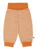 loud + proud Spodnie dresowe w kolorze pomarańczowym