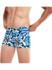 Speedo Badehose in Dunkelblau/ Bunt