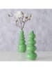 Boltze 2-delige set: vazen "Brunila" groen - (H)30 cm