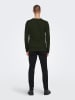 ONLY & SONS Trui "Panter" groen