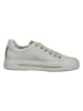 ara Sneakers in Weiß/ Beige