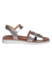 Ara Shoes Leren sandalen zilverkleurig