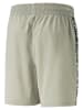 Puma Trainingsshort beige