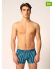 Skiny 2er-Set: Boxershorts in Blau/ Hellblau