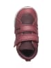 Primigi Skórzane sneakersy w kolorze czerwonym