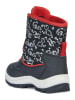 Geox Winterboots "Flanfil" zwart