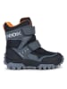 Geox Winterboots "Himalaya" in Grau