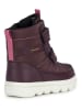 Geox Winterboots "Willaboom" in Lila